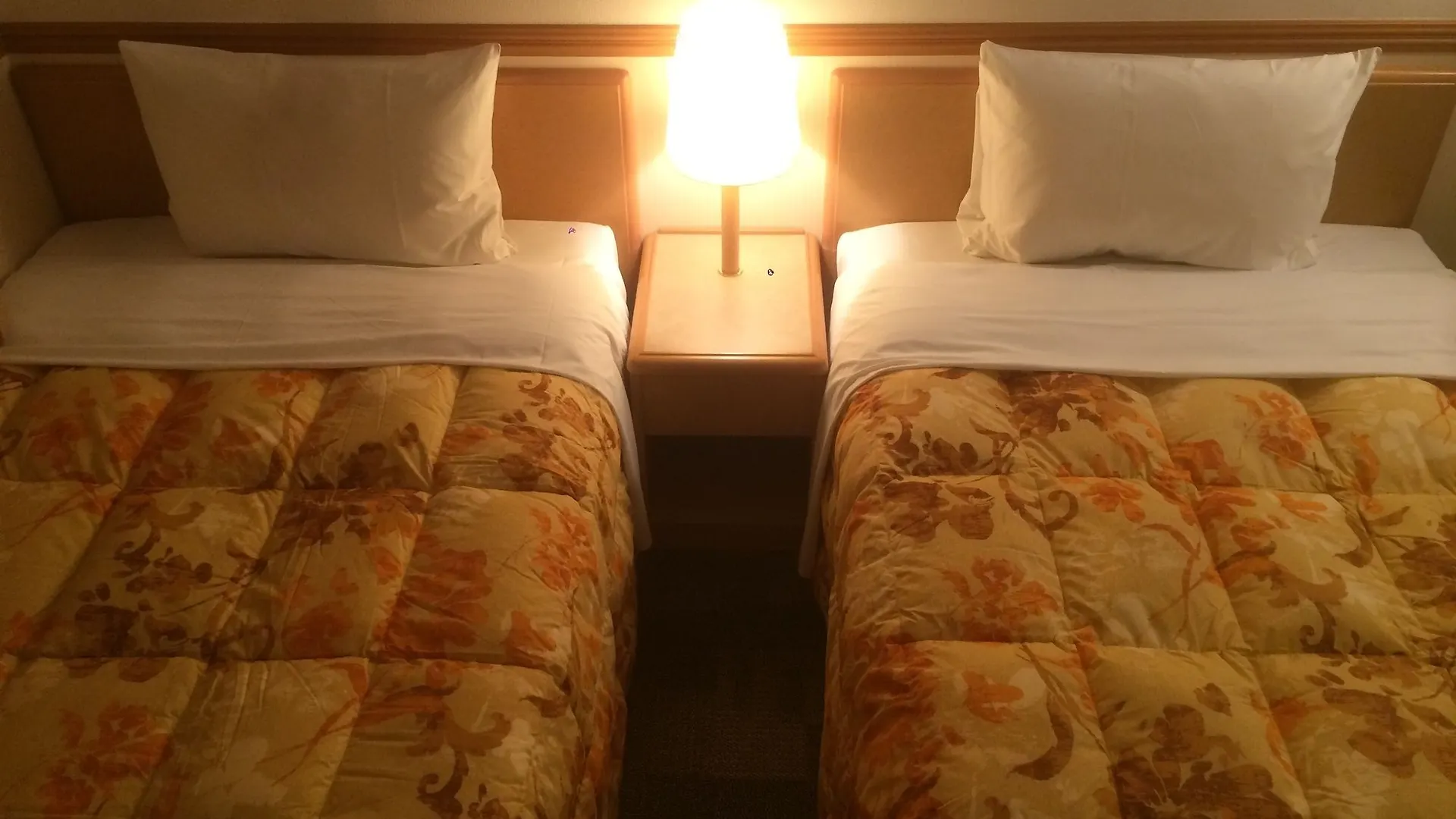 Toyoko Inn Tokyo Ikebukuro Kita Guchi No 2 3*,